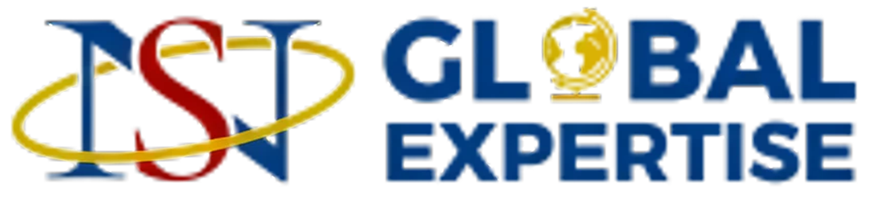 Logo NS Global Expertise